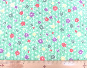 n@߂@kɁ@S߂ z߂@FTY115-13΃[100@nЖ73cms pp\