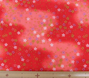 n@߂@kɁ@S߂ z߂@ GMK11-01 [100@nЖ73cms pp\