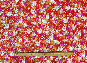 y݌ɏzn@߂@kɁ@S߂ z߂@ N102|1[100@nЖ70cms pp\