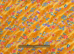 l@n@߂@kɁ@S߂ z߂@ 傤 GH44-04[100@nЖ71cm s pp\