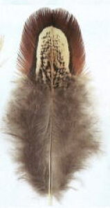 MIYUKI@~Lr[YANZT[@tFU[iԍ@H654