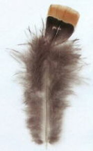 MIYUKI@~Lr[YANZT[@tFU[iԍ@H655