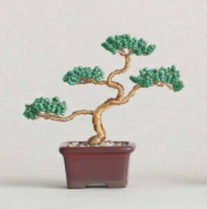 ~L@MIYUKIr[YANZT[nejitte@BONSAI@HCA30/1