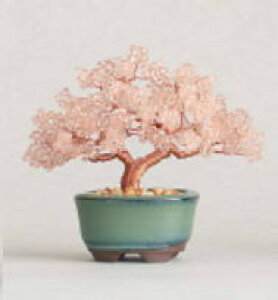 ~L@MIYUKIr[YANZT[nejitte@BONSAI@HCA30/3