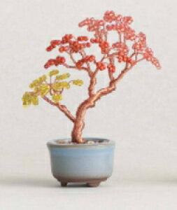 ~L@MIYUKIr[YANZT[nejitte@BONSAIgt@HCA30/5