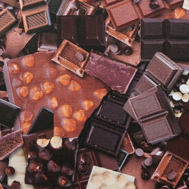 楽天市場 チョコレート 生地 布 手芸 クラフト 生地 日用品雑貨 文房具 手芸の通販