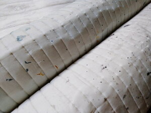 RbgVN LeBOn z Naomi Ito Textile ɓ nani IRO 2023 ijC EGXQ11260|1 Flowers bloom t[Yu[ pps