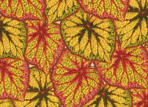 [@PCtt@ZbgRNV@xSjA[uX432