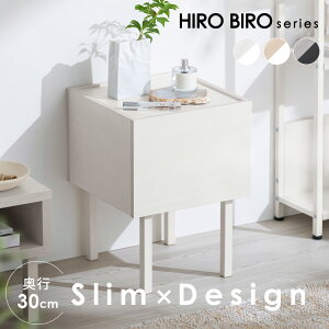TChe[u   [   \t@ Q xbh k RpNg X ؍ iCge[u ~j l炵 V ACXI[} HIROBIRO WST-300 *
