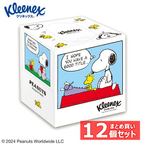 m12ZbgneBbV  eBbVy[p[ NlbNX 80g/ 160 12  ܂Ƃߔ L[u Xk[s[ fUC Kleenex PEANUTS L[u RpNg {bNX {N