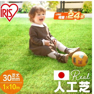 AlH IP-30110 UB24{t  lH 1m×10m lHŐ Ő Ń}bg ACXI[} lHŃ}bg Ő}bg ACX\[R[