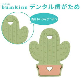 バンキンス シリコンティーザー BM-THRCTS歯固め 歯がため おしゃぶり 赤ちゃん ベビー BUMKINS カクタス ダイナソー スワン ユニコーン【B】