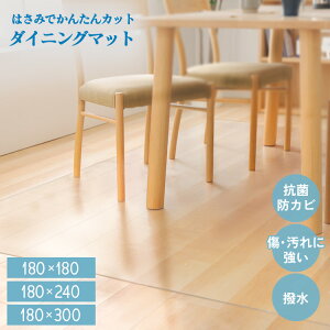 _CjO}bg NA  180 240 300 1.5mm Lb`  _CjO }bg h R h~ g[Ή  @ Ԃ q qǂ ǂ Hׂڂ rO q