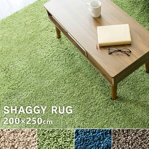 O  VM[O 200×250 SYGR-S-2025 J[ybg O}bg 3  }CNt@Co[ ~  ʔN I[V[Y XO[ uE x[W lCr[