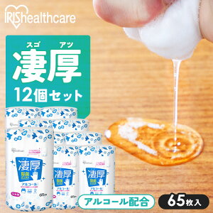 【12個セット】ウェットティッシュ アルコール 厚手 本体 WTB-65A ウェットティッシュ アルコール エタノール 除菌 除菌シート 厚手 厚め 厚み 日本製 国産 本体 ボトル 容器 ケース 65枚入り 12