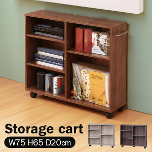 [{bNX [ [J[g SYR-7520 ACXI[} 75 s20 65 LX^[t [[S J[g [ Ƌ JE^[ [bN N[[bg uE