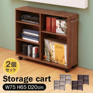 収納ボックス 2個セット 収納庫 収納カート SYR-7520 アイリスオーヤマ 幅75 奥行20 高さ65 キャスター付き 収納収納ワゴン カート 押入れ収納 家具 カウンター下 収納ラック クローゼットおしゃ