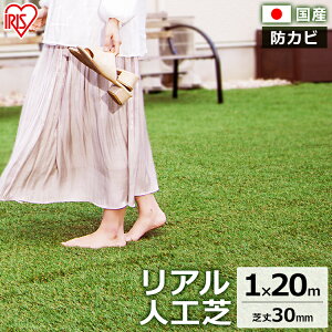 AlH IP-30120 UB24{t  lH 1m×20m lHŐ Ő Ń}bg ACXI[} lHŃ}bg Ő}bg ACX\[R[