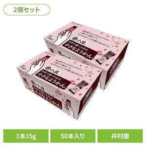 ようかん 和菓子 お菓子 【2個】大容量 片手で食べられる小さなようかん ようかん あずき 和菓子 おやつ 食べ切り ミニサイズ レジャー スティック つぶあん 大容量 井村屋