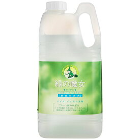 緑の魔女 キッチン業務用 2L 食器用洗剤 液体洗剤 キッチン用洗剤 業務用 食器用洗剤キッチン用洗剤 食器用洗剤業務用 液体洗剤キッチン用洗剤 キッチン用洗剤食器用洗剤 業務用食器用洗剤 キッチン用洗剤液体洗剤 【D】