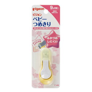 _݌Ɍ^ xr[߂Ă^ ܐ؂ ܂  xr[pi sW