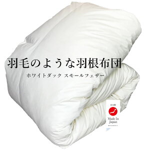 Hzc VO ~p gy2.2kg ! !zHт̂悤ȉHzc zCg_bNX[tFU[100% { 100% nAC{[ ̃Lg Hzc HӂƂ tFU[zc Hѕzc V