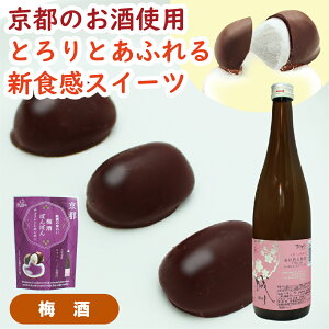 ~{{s 6 ~`R[g{{ `R {{ Mtg v[g 蕨 o^C zCgf[ Ԃ yXC[c ~`R syY yY X؎ 