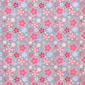 ys낿zȑ啗C~iӂ낵EDji102×106cmj{[Furoshiki]