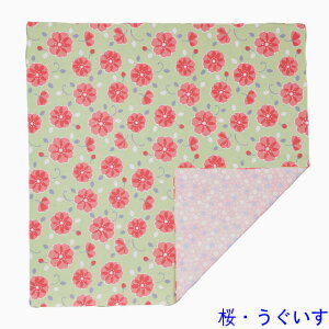 ys낿zg|bvʑ啗C~iӂ낵EjFuroshiki@{