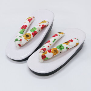 ܎O  ̎q 20.0cm Gi E^      ~  q LbY  v