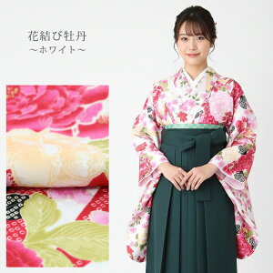 二尺袖 矢絣 女性着物 | 通販・人気ランキング - 価格.com