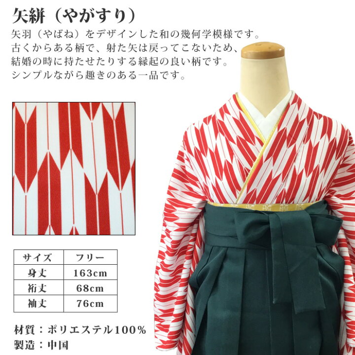 柄半衿 柄襟 矢羽根模様 袴 卒業式 （袴レンタル｜卒業式｜プラス 