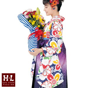 AbVG [HL] ڑ Pii002EjȒP |GXe ڑ