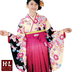 AbVG [HL] ڑ Pii004EjȒP |GXe ڑ