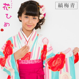  ڑ WjATCY p@ sN ԂЂ/Ȕ~ 2_Zbg ɒBܕt Ǝ