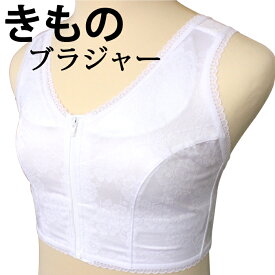 和装ブラジャー フロントファスナー S/M/L/LL/3L きものブラジャー 洗える 着物 肌着 下着 着付 肌襦袢 半衿 かわいい ウォッシャブル メール便