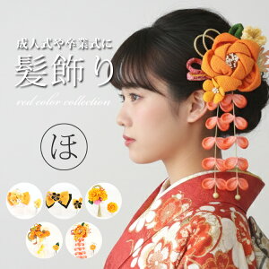 y[J[]i8000~ȏz 2_Zbg (IW/Rn) ʌ @oi ܂ݍ׍H ߂ i a  킢 wAANZT[ a   Us R[