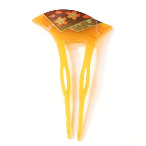 񂴂  [16] o`^   a  a RF CG[