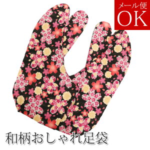  y01z {̘angp 4Rn[ FF lR|XΉ 25.5cm