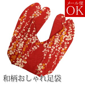  y04z {̘angp 4Rn[ FF lR|XΉ 25.5cm