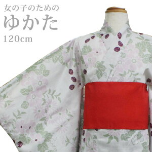 i`n ߃Zbg ԁEAC{[ 120cm ѕt グς݁Eグς݁EtRt 100 naturalJ[łƂɑfGɗ߂y