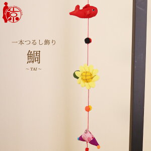 {邵 邵 `` [3D] 3邵 50cm ߂׍H ̐ߋ ߋ ݂邵 