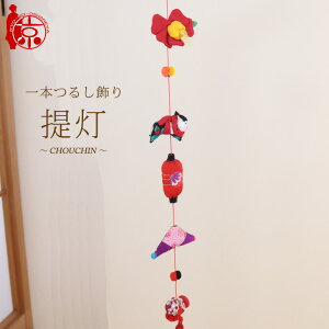 {邵 邵 `񓔁` [5L] 5邵 63cm ߂׍H ̐ߋ ߋ ݂邵 
