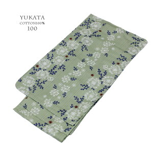 y100TCYE10zi`n  n[uEO[ 100cm グς݁Eグς݁EtRt 100 naturalJ[łƂɑfGɗ߂y