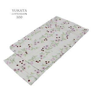 y100TCYE17zi`n  x[Ex[W 100cm グς݁Eグς݁EtRt 100 naturalJ[łƂɑfGɗ߂y