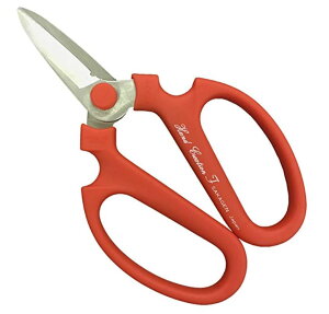 ⌹ A[eBtBVVU[ 180mm t[AWgp C[E{EjErj[؂ t[CN nhNG[V { ϔEnT~Jo[t