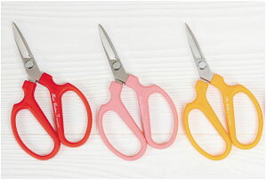 ⌹ A[eBtBVVU[ 165mm t[AWgp C[E{EjErj[؂ ~jt[CN { ϔEnT~Jo[t