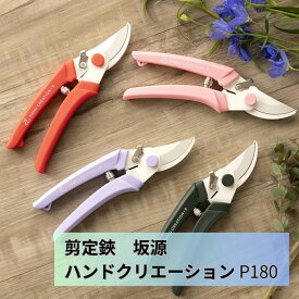 園芸ハサミ 花鋏 坂源 ハンドクリエーション P180 枝切り 剪定 フラワーアレンジメント 日本製 化粧箱入り