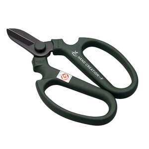 |nT~ ynz ⌹ nhNG[V F170 K[fjO  { ϔEnT~Jo[t