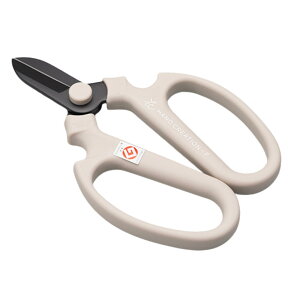 |nT~ ynz ⌹ nhNG[V F170 K[fjO  { ϔEnT~Jo[t